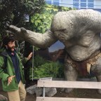 Oh Those Wellington Days