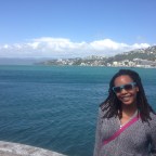 Finding a Job in Wellington on a Working Holiday Visa