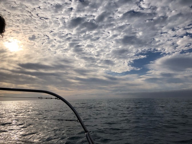 193BDB8B-5110-4347-9F68-035A228E4DCE