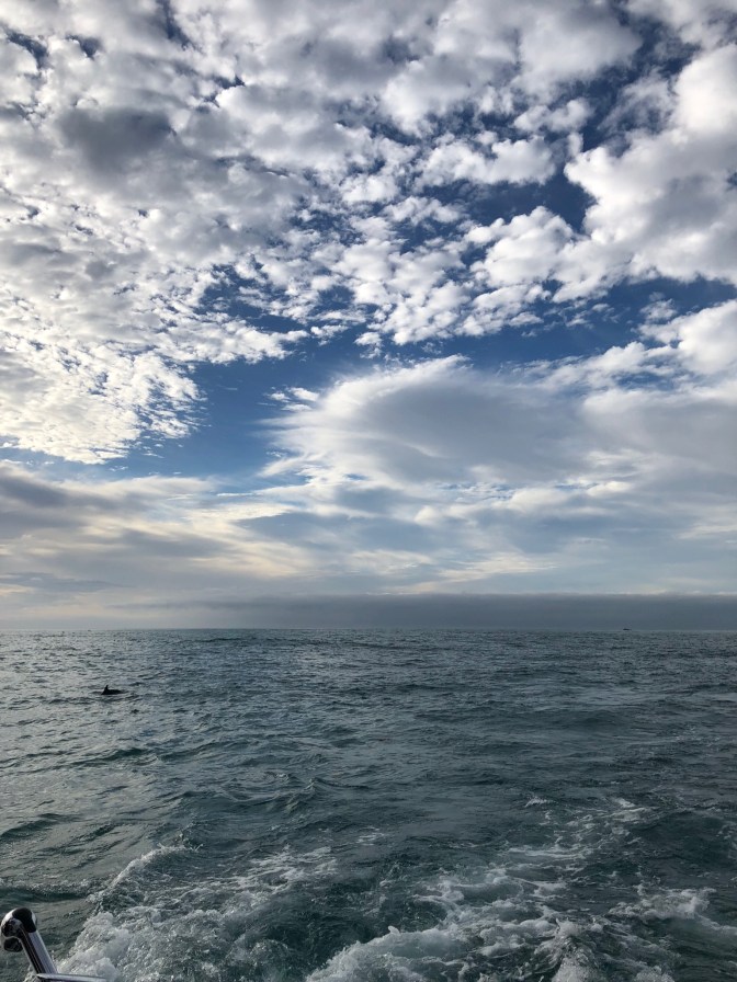 571263B0-A847-4171-A1E2-8ADB5A32CA52