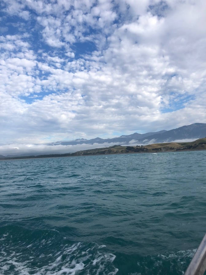 8798466D-7516-450B-A69D-C2D4FB61D399