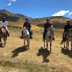 Back in the Saddle Again (Okay, it was our first time)