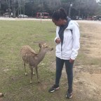 Animal Adventures in Japan Part 2: The Deer of Nara